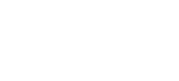 Logotipo da Birdhouse